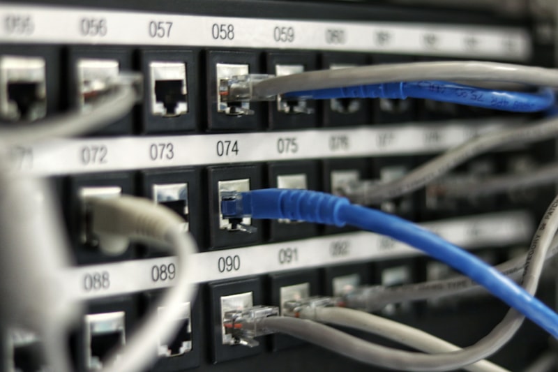 Câbles de fibre optique éclairés en bleu, connectivité réseau dédiée